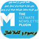 افزونه فارسی mailster ایمیل مارکتینگ وردپرس